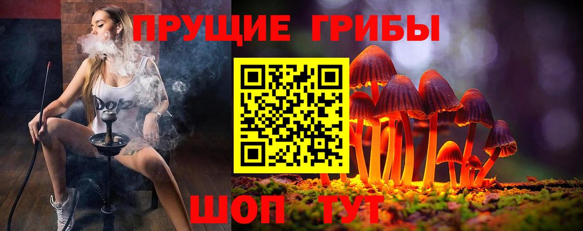 Галлюциногенные грибы Psilocybine cubensis  Вход с VPN  Новокубанск 